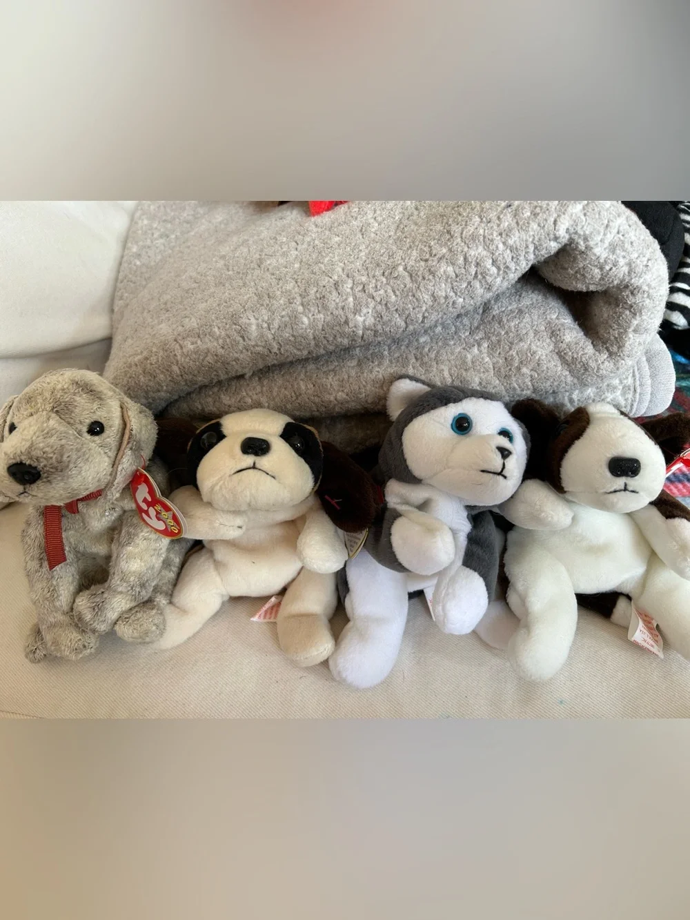 13 Ty beanie baby dogs in like new condition 1994-2000